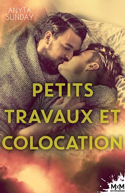 Télécharger le livre :  Petits travaux et colocation