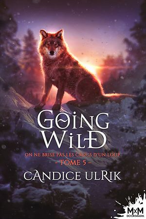 Téléchargez le livre :  On ne brise pas les crocs d'un loup