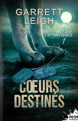 Télécharger le livre :  Cœurs destinés
