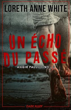 Télécharger le livre :  Un écho du passé