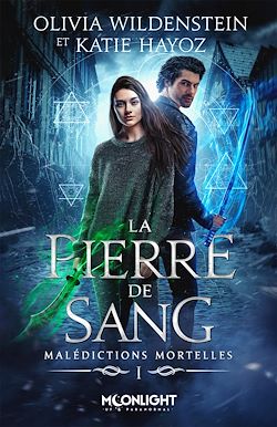 Télécharger le livre :  La pierre de sang