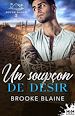 Télécharger le livre :  Un soupçon de désir