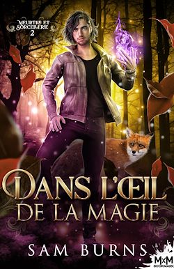 Télécharger le livre :  Dans l'œil de la magie