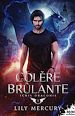 Télécharger le livre :  Colère brûlante