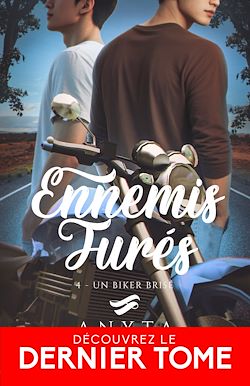 Télécharger le livre :  Un biker brisé