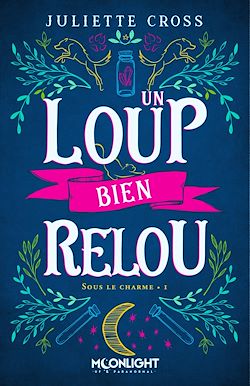 Télécharger le livre :  Un loup bien relou