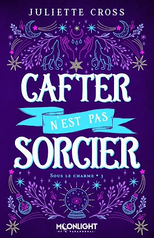 Download the eBook: Cafter n'est pas sorcier