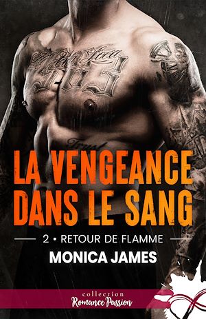 Téléchargez le livre :  Retour de flamme