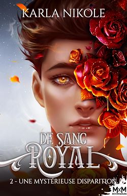 Télécharger le livre :  Une mystérieuse disparition