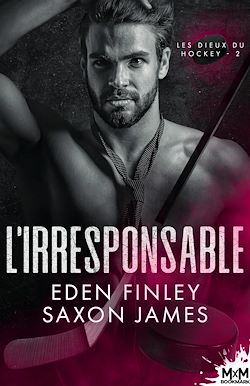 Télécharger le livre :  L'irresponsable