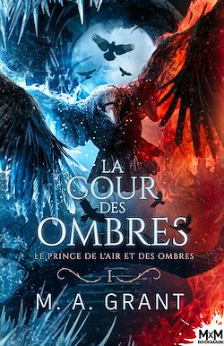 Télécharger le livre :  Le prince de l'Air et des Ombres