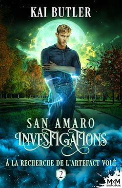 Télécharger le livre :  À la recherche de l'artefact volé