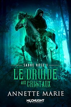 Télécharger le livre :  Le Druide aux cristaux