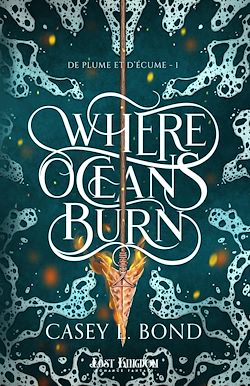 Télécharger le livre :  Where Oceans Burn