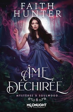 Télécharger le livre :  Âme déchirée