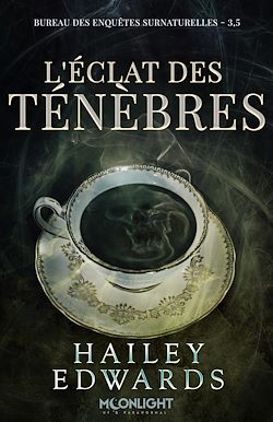 Télécharger le livre :  L'éclat des ténèbres