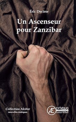 Télécharger le livre :  Un Ascenseur pour Zanzibar