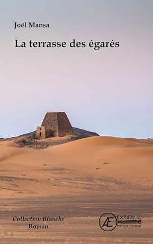 Téléchargez le livre :  La terrasse des égarés