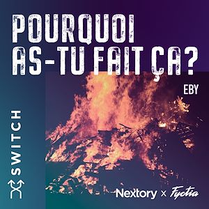 Téléchargez le livre :  Pourquoi as-tu fait ça