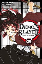 Télécharger le livre :  Demon Slayer T20