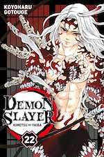 Télécharger le livre :  Demon Slayer T22