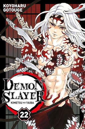 Demon Slayer T22 | Gotouge, Koyoharu. Auteur