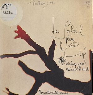 Téléchargez le livre :  Le soleil plein le ciel