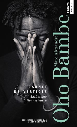 Téléchargez le livre :  Carnet de vertiges