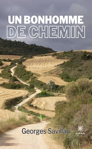 Download the eBook: Un bonhomme de chemin