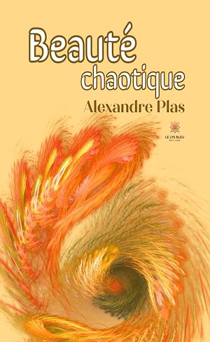 Download the eBook: Beauté chaotique