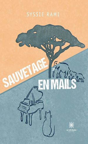 Download the eBook: Sauvetage en mails