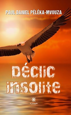 Télécharger le livre :  Déclic insolite