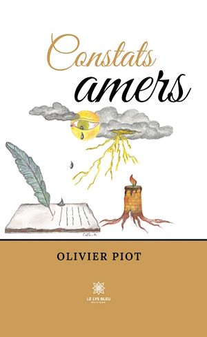 Download the eBook: Constats amers