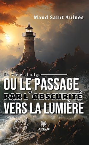 Téléchargez le livre :  La vie en indigo ou le passage par l'obscurité vers la lumière