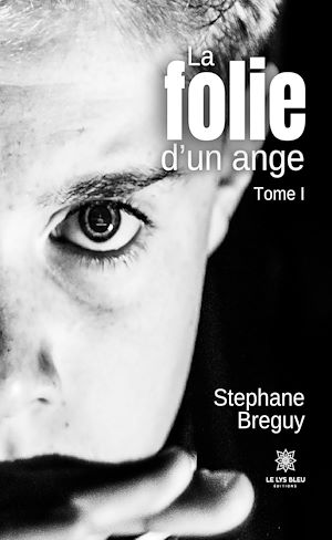 Téléchargez le livre :  La folie d'un ange - Tome 1
