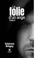 Télécharger le livre :  La folie d'un ange - Tome 2
