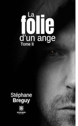 Télécharger le livre :  La folie d'un ange - Tome 2