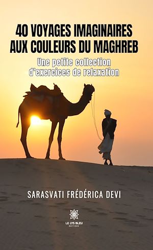 Téléchargez le livre :  40 voyages imaginaires aux couleurs du Maghreb