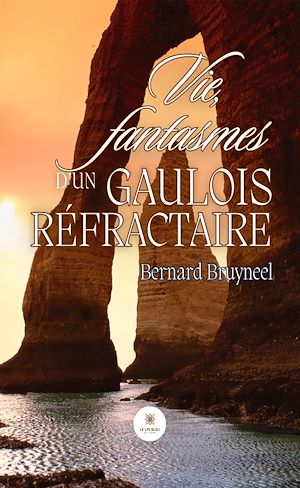 Download the eBook: Vie, fantasmes d'un gaulois réfractaire