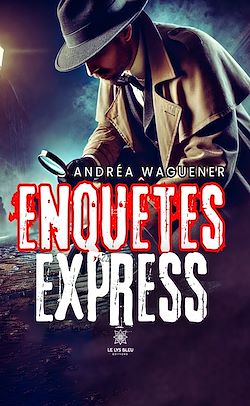 Télécharger le livre :  Enquêtes express