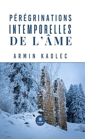 Download the eBook: Pérégrinations intemporelles de l'âme