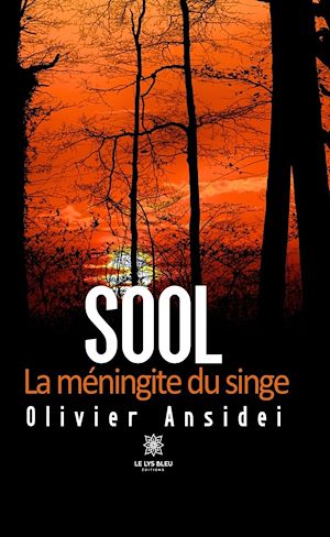 Download the eBook: Sool