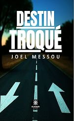 Download this eBook Destin troqué