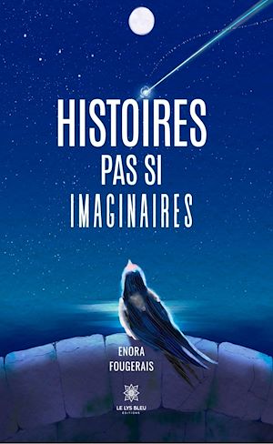 Téléchargez le livre :  Histoires pas si imaginaires