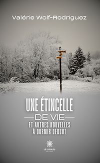 Téléchargez le livre :  Une étincelle de vie et autres nouvelles à dormir debout