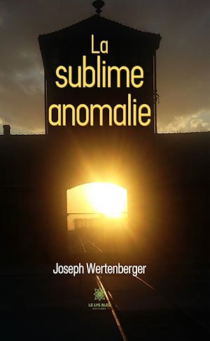 Téléchargez le livre :  La sublime anomalie