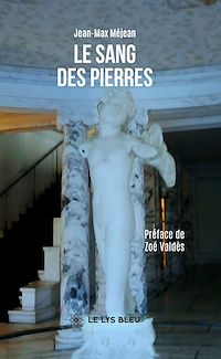 Téléchargez le livre :  Le sang des pierres