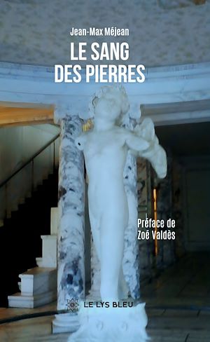 Download the eBook: Le sang des pierres