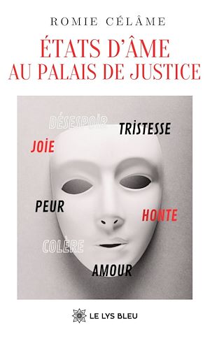 Téléchargez le livre :  États d'âme au palais de justice