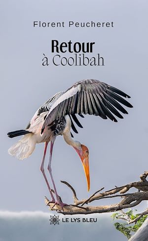 Téléchargez le livre :  Retour à Coolibah